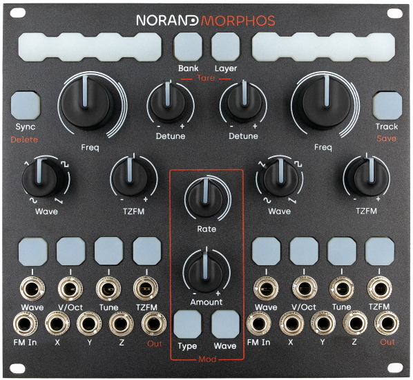 Nordrand Morphos