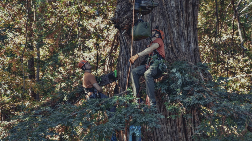 Sennheiser ThomasRexBeverly 01 Climbing