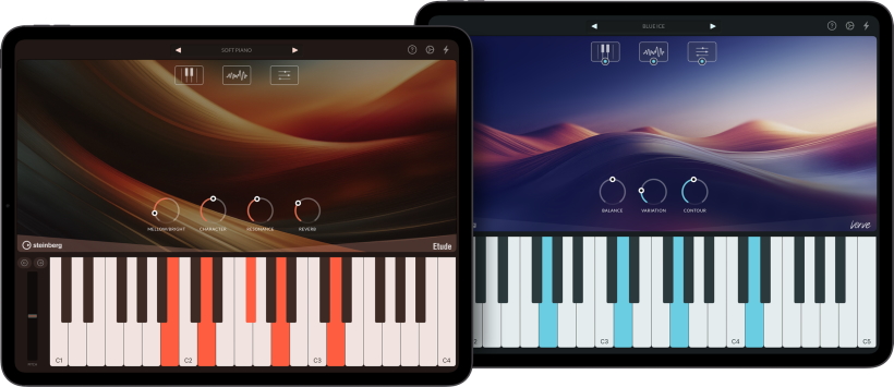 Steinberg Verve Etude small